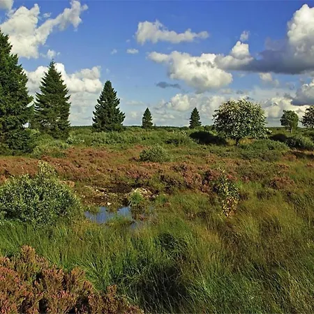 Apartament In Am Sandstrand *